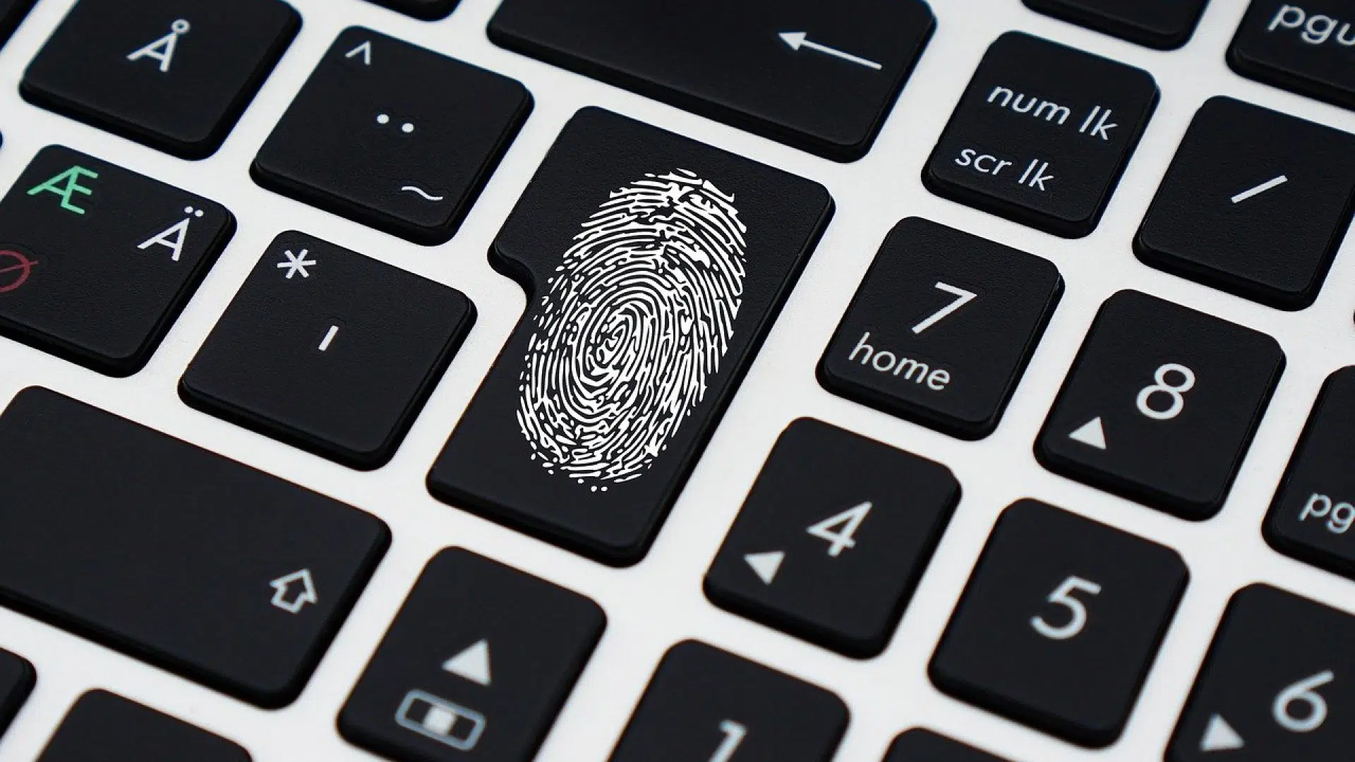 Tout savoir sur le professionnel en sécurité informatique